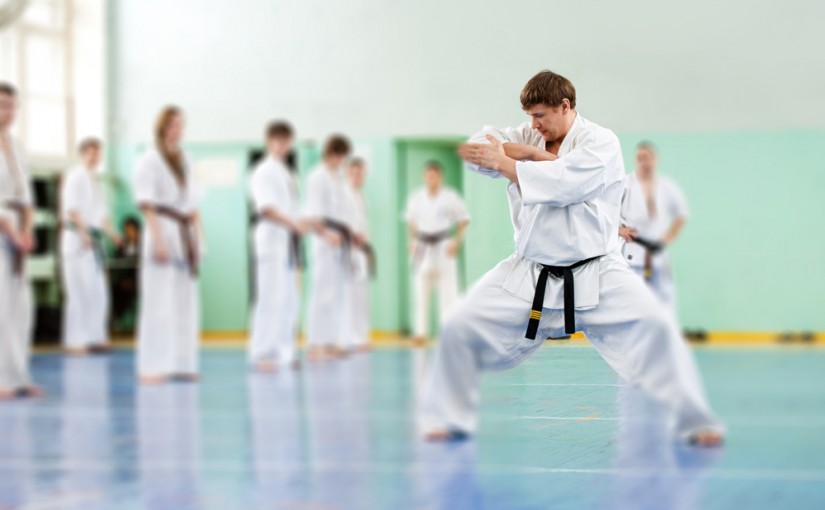 Karate – japońska sztuka walki