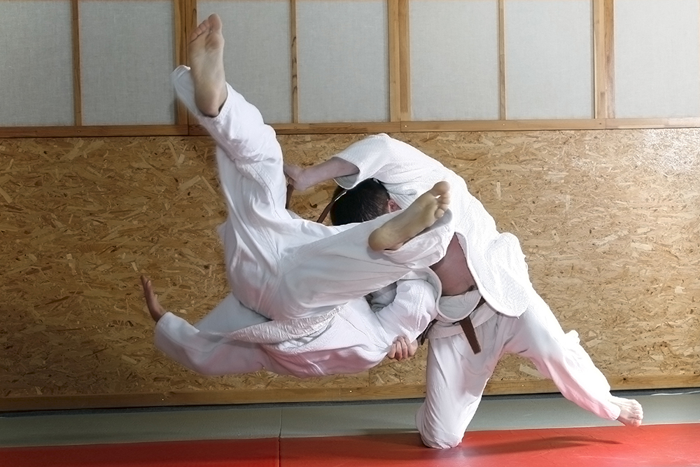 brazylijskie jiu-jitsu