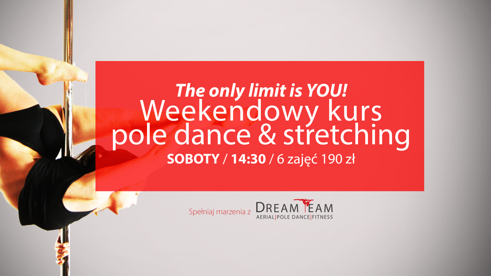 DreamTeam - Aerial/Pole Dance/Fitness - zajęcia dla dzieci Pabianice